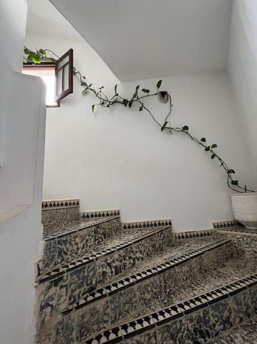 Mehek Appartement Asilah Buitenkant foto
